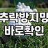 스포츠 시설 안전네트, 설치할까 말까? 현실적인 고민들