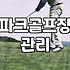 주말마다 파크골프장 찾아다니다가 지쳐버렸다