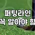 파크골프 실력을 높이는 올바른 골프연습 루틴과 습관