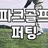 파크골프연습 효과적으로 실력을 높이는 단계별 훈련법