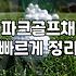 집 거실에 파크골프 타석 매트를 깔고 나서 든 생각