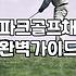 집에 인조잔디를 깔까 말까 고민하는 사람들에게: 현실적인 조언