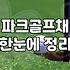 부산에서 파크골프채를 고르다 포기할 뻔한 날