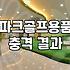 판테온파크골프채 가격과 선택 기준에서 확인해야 할 핵심 요소