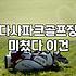 부모님 등쌀에 못 이겨 따라간 화천 파크골프장에서 겪은 피곤한 하루
