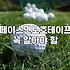 파크골프 입문자가 알아야 할 채 선택과 실전 타격의 핵심