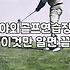 가정에서 안전하게 연습하는 골프그물 고르는 기준과 설치법