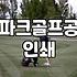 파크골프공, 직접 써보고 느낀 솔직한 후기 (인쇄 서비스)