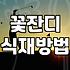 마당이나 공원 경사지에 꽃잔디를 심을 때 고려할 현실적인 부분들