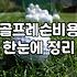 골프 배우기를 고민하는 당신에게 건네는 솔직한 조언