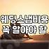 웨딩 스냅 촬영을 준비하며 고려해야 할 현실적인 요소들