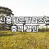 결혼준비신용카드 선택 전 확인해야 할 발급 조건과 혜택 계산법