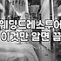 본식웨딩드레스 대여 비용과 투어 일정 잡는 기준