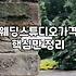 웨딩사진 비용 구성과 스튜디오별 추가금의 실제 기준