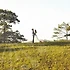 결혼의 결정, 무료상담변호사로 시작하세요!