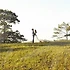 결혼과 심리치료: 행복한 부부 관계를 위한 힌트