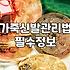 천연 소가죽 신발 고를 때 확인해야 할 몇 가지 사실
