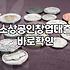 정부정책자금 신청 전 반드시 확인해야 할 자격 요건과 거절 사유