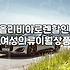 올리비아로렌 이월 상품, 정말 가성비 있을까? 직접 경험담과 솔직 후기