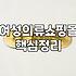 양가죽 재킷, 온라인으로만 보고 사려니 늘 아쉬운 기분