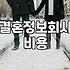 결국 결정사 상담까지 다녀왔는데 묘하게 허탈하더라