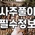 결혼사주 비용과 상담에서 주로 확인하는 항목