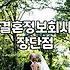 결정사, 정말 솔로 탈출의 지름길일까? 현실적인 고민들