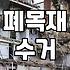 나무폐기물처리 비용과 현장별 배출 기준 산정 방식