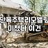 초록색 옥상이 싫어서 무기질 방수제를 겁 없이 사버렸다