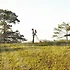 결혼식축가를 활용한 합리적 결혼정보회사 이용 전략