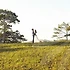 셀프웨딩드레스 트렌드와 실전 가이드 비교 촬영팁 지금