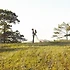 신혼여행지추천으로 시작하는 합리적 허니문 준비와 트렌드