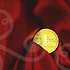 주식매입의 모든 것: 초보자를 위한 꿀팁과 최신 트렌드!