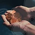 XRP가 국내증시에서 주목받는 이유와 최근 트렌드와 투자 포인트