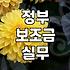 보조금, 엑셀 시트 뒤의 현실과 ‘공짜 점심’의 함정