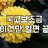 보조금 신청 조건과 실질적인 지급 시기 확인 방법