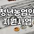 청년농업인 대출, 처음엔 나라에서 다 되는 줄 알았는데…