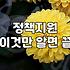 복지혜택, 남들 다 받는다고 쫓아다니다 지치는 이유