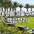 쇼파 버릴지 고민할 때, 무작정 업체부터 부르지 마세요