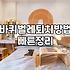 우리 집 바퀴벌레, 직접 잡을까? 전문가 부를까? 현실적인 고민과 선택지