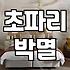 집안에 갑자기 늘어난 초파리 확실하게 퇴치하는 방법