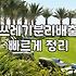 실외 분리수거함 설치, 생각보다 현실은 복잡합니다