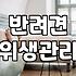 반려견 냄새, 전문가 아니어도 집에서 잡는 법
