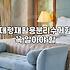 대형쓰레기통 선택 시 고려할 용량별 배치 기준과 관리법