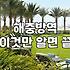 돈벌레를 보고 결국 방역 업체를 부르기로 마음먹기까지