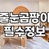 우리 집 화장실, 그냥 두면 위험한 이유