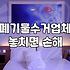 쓰레기집청소업체 비용 결정 요인과 작업 범위 이해하기