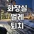 화장실에서 이상한 벌레가 나와서 고민하던 날