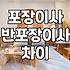 포장이사 vs 반포장이사, 내게 맞는 건 뭘까?