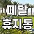 페달 휴지통, 그냥 편한 줄 알았는데… 써보니 알겠는 것들
